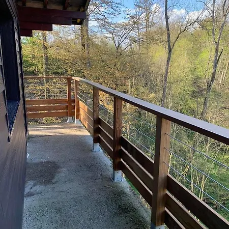 Douillets For The Family ウイエ