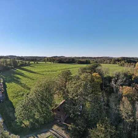 Douillets For The Family ウイエ